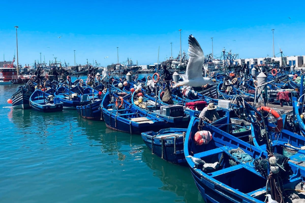Essaouira day trip from Marrakech