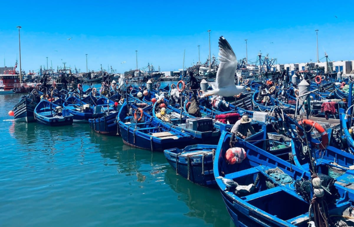 Essaouira day trip from Marrakech