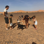 day trip around merzouga