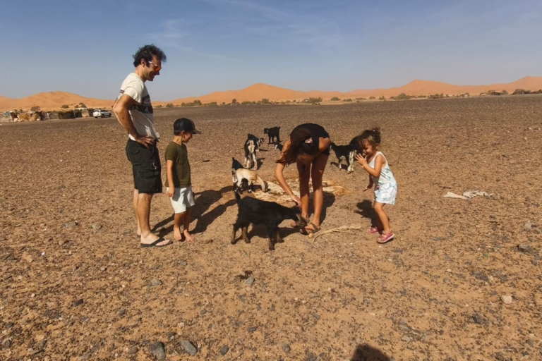 day trip around merzouga